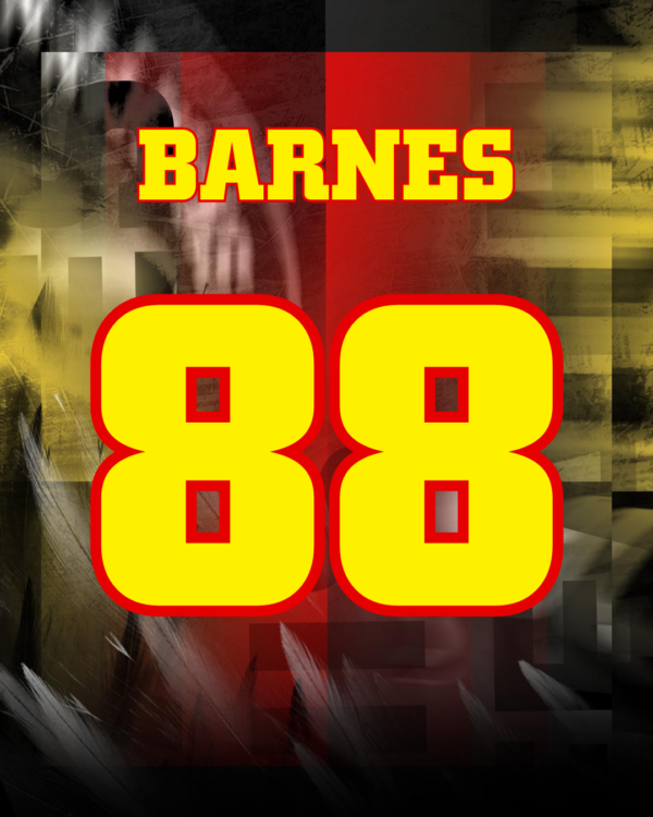 Barnes Own and Loan