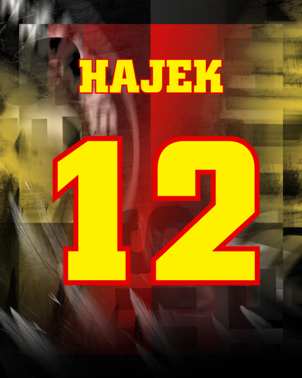 Hajek Own and Loan